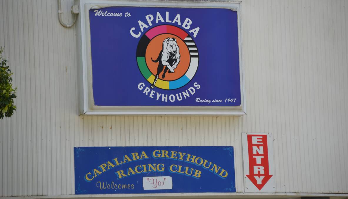 CAPALABA RACING: Greyhound club is in financial strife.