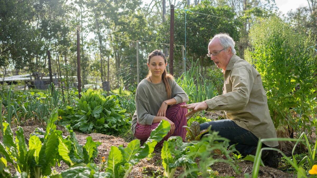 THIS IS THE WAY: Organic gardener Peter Kearney mentoring a young farmer.