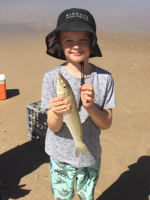 
CHOICE CATCH: Jordan Pocock, 6, with a good size whiting caught at Main Beach, North Stradbroke Island.