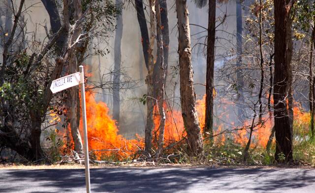 BUSHFIRE: A fire out of control on Russell Island. Cr Julie Talty says parts of Redlands face a high fire risk and having a volunteer service in place would help mitigate issues.