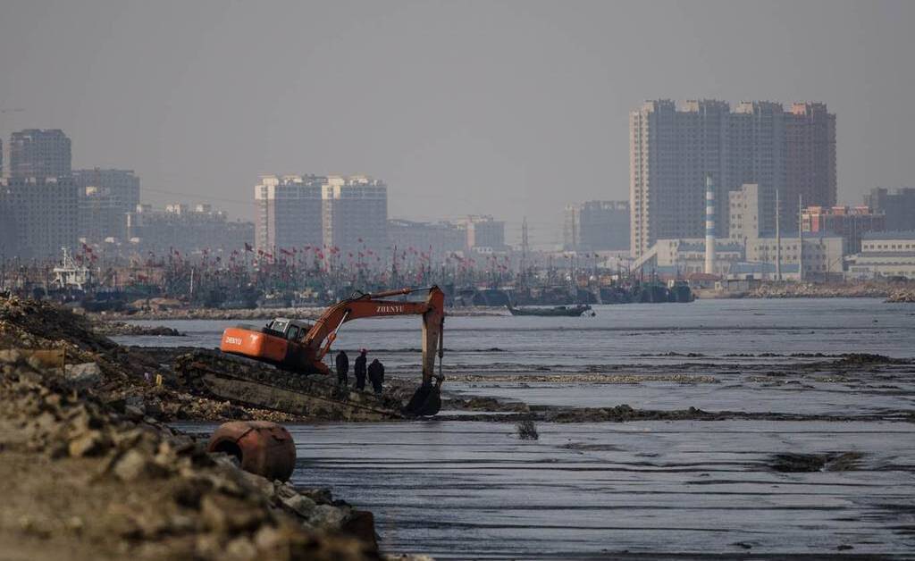 DEADLY IMPACT: Foreshore development destroys the habitat of foreshore species like birds.