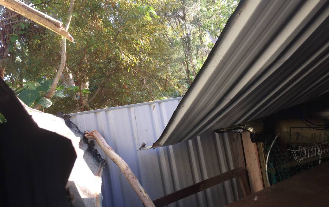 
STORM DAMAGE: A shed damaged at Alexandra Hills during the storms.