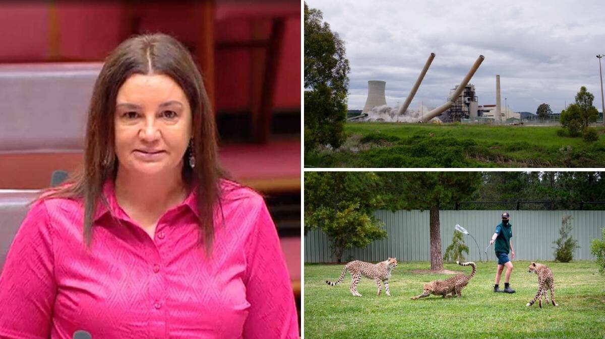 BEST VIDS: Tasmanian senator Jacqui Lambie takes aim at anti-vaxxers in parliament (left), NSW's oldest smokestacks demolished (top right) and what happens when you meet a cheetah (bottom right).