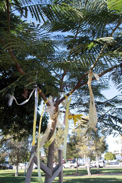 TRIBUTE: The decorated memory tree in Raby Bay Harbour Park. 