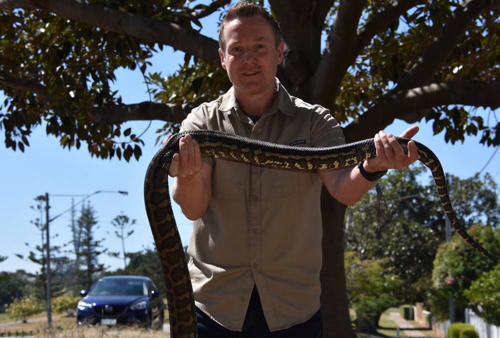 HUGE: Snake catcher Tony Morrison with the snake at Raby Bay. 