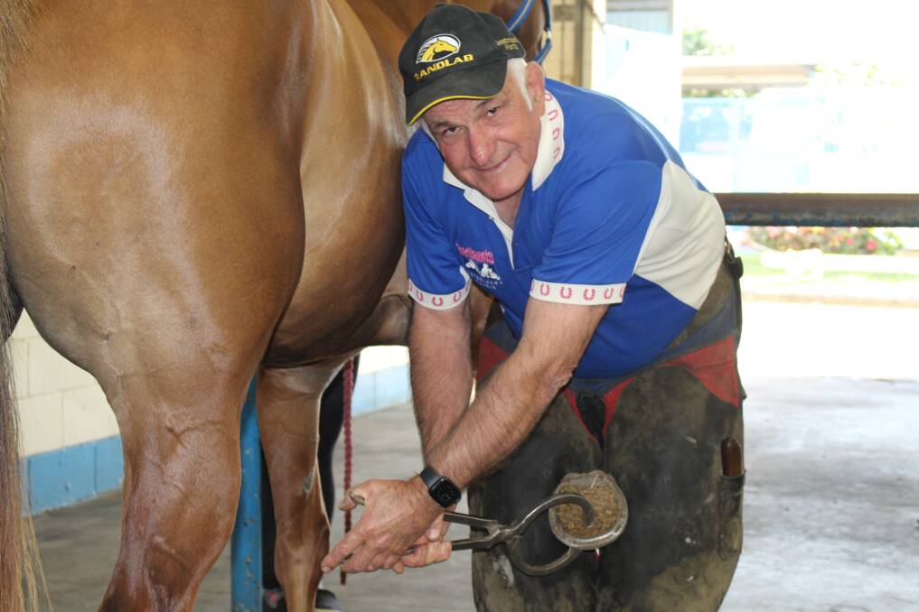 HORSE WHISPERER: David Lovell said he had loved horses since he was a boy growing up on a Birkdale farm. Photo: Jordan Crick