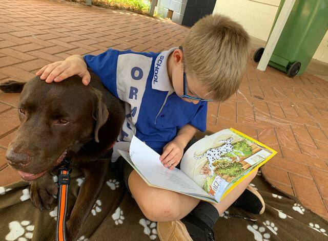 READING HELP: Ormiston State School has raised more than $900 for the Story Dogs program. 