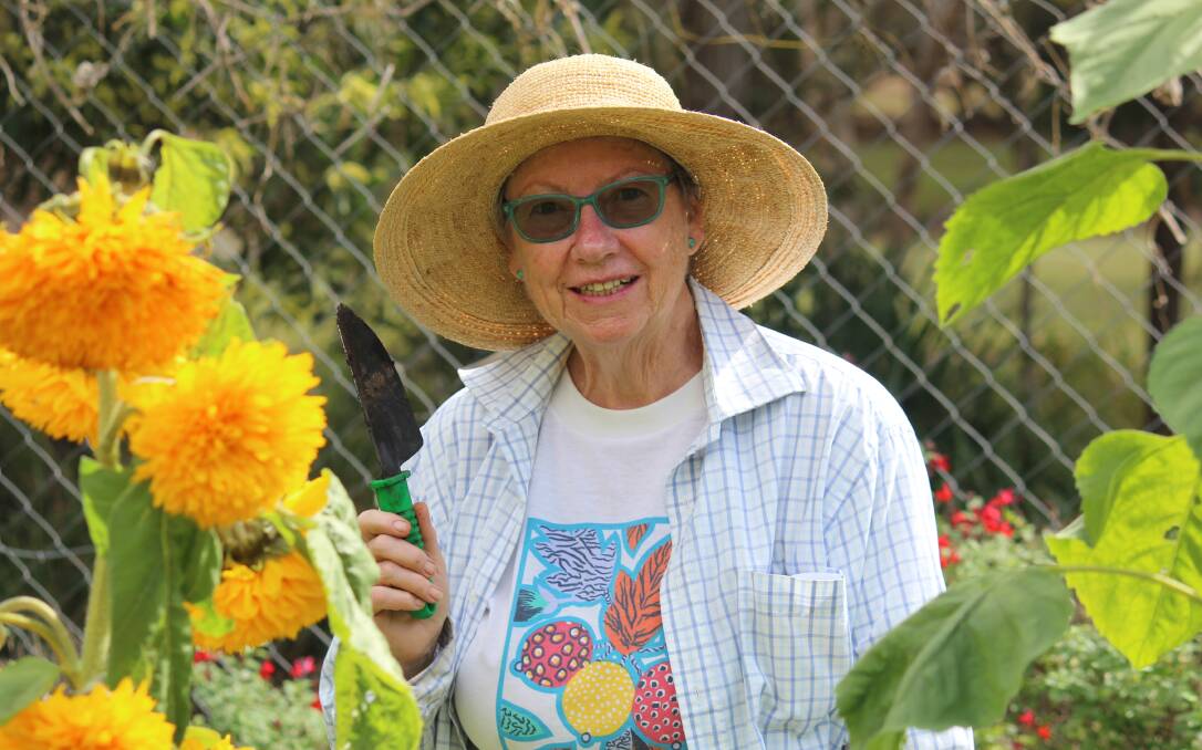 GREAT OUTDOORS: Glenda Brown digs among the sunflowers at the community gardens on Oaklands Street, Alex Hills. Photo: Jordan Crick. 