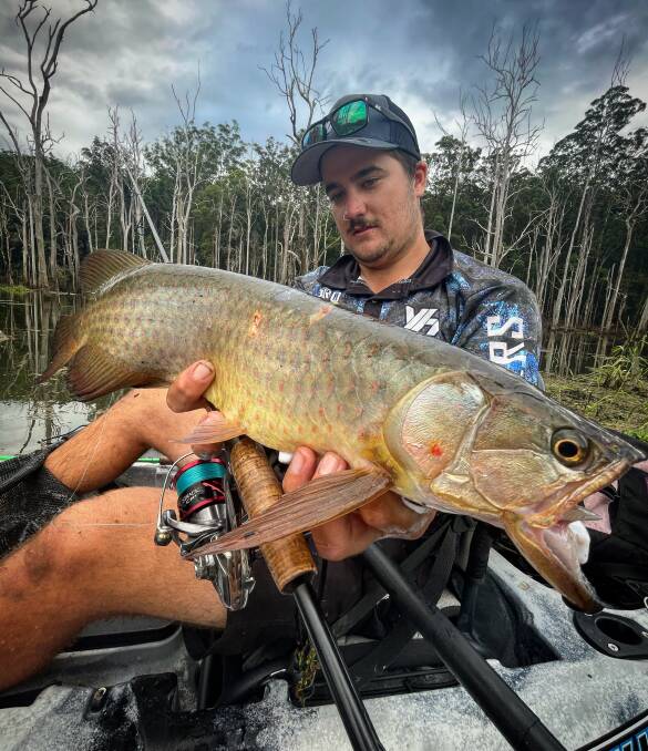 BIG FISH: Liam Gibson caught this good looking a saratoga at Hinze Dam on the Gold Coast hinterland. Photo: supplied