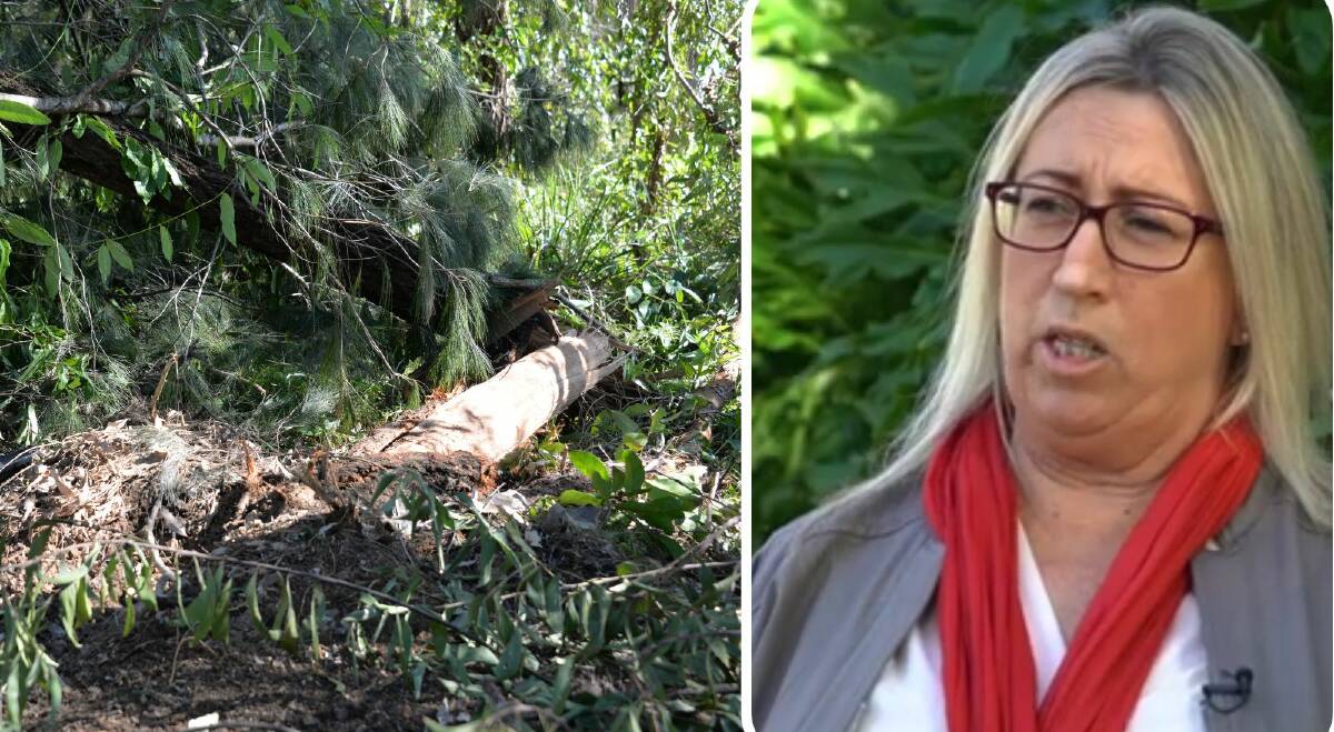 The scene of Cr Karen Williams' crash at Cleveland and [right] Alexandra Hills woman Judy Lindsay speaking in 2020. Photos by Jordan Crick and supplied