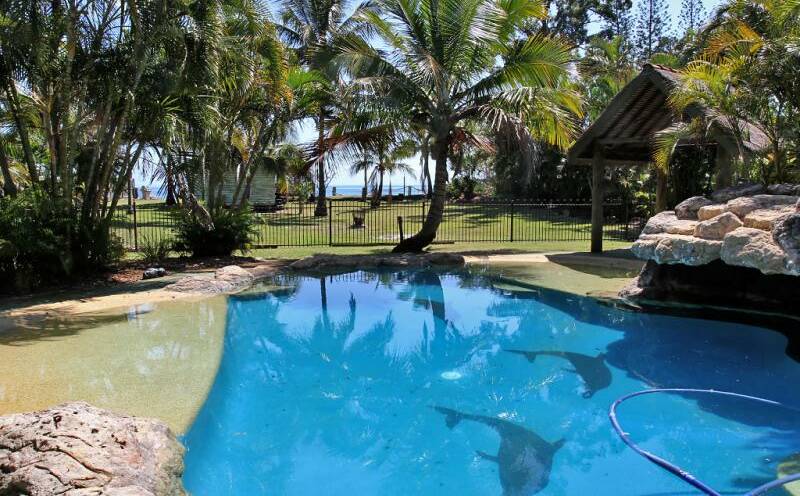 JUMP IN: An inground pool is located near the bungalows. Photo: supplied