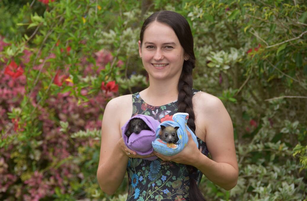 RESCUE: Jasmine Vink, a fully vaccinated rehabilitator, with her flying foxes that were orphaned in the NSW bushfires. The bats could prove important in restoring scorched land. Photo: Jordan Crick