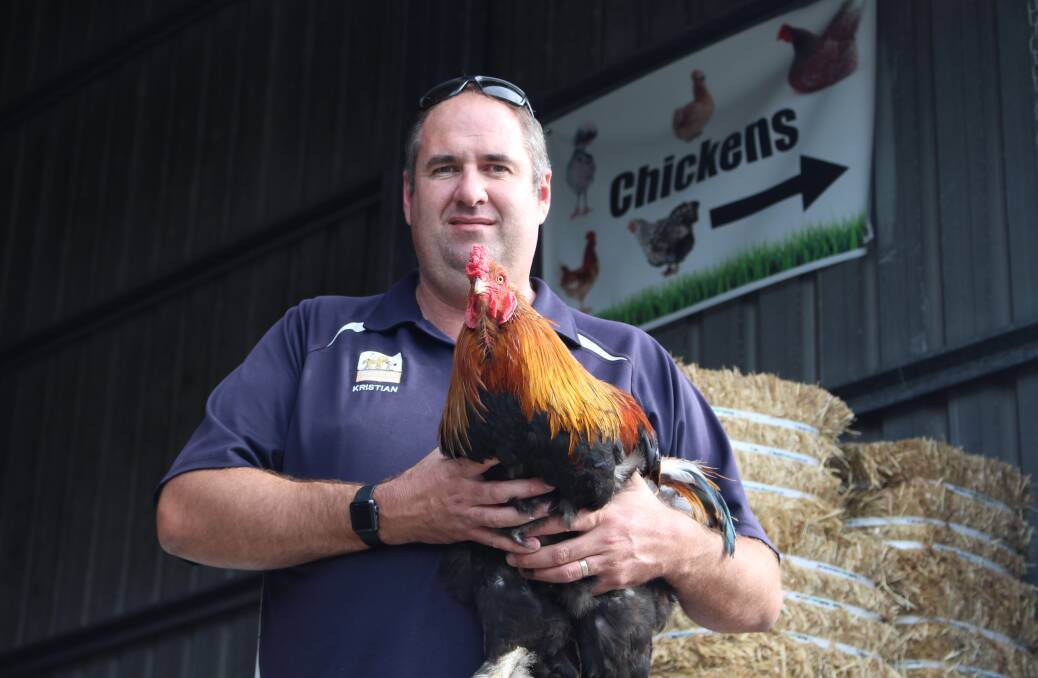 BIG BIRD: Redlands Produce owner Kristian Foxover was working flat out during the coronavirus pandemic. Chickens were in high demand. He has only roosters left. Photo: Jordan Crick