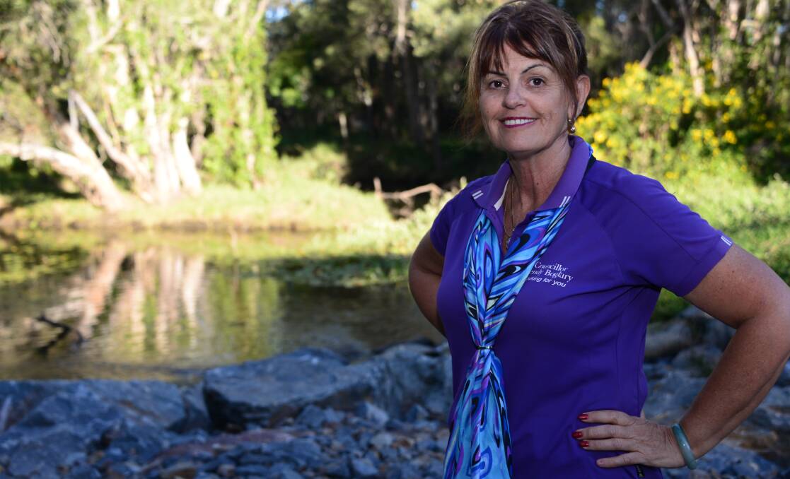 STOUSH: Cr Wendy Boglary clashed with Mayor Karen Williams during discussions on the Shoreline development. 