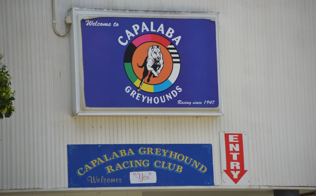 RACING: A dog was euthanised at Capalaba Greyhound Racing Club on January 19. 