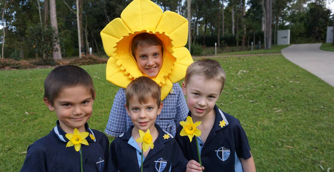 FUNDRAISER: Schools are urged to turn their grounds yellow for Daffodil Day this August. 