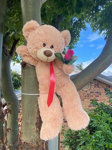 COMMUNITY SPIRIT: The teddy bear in the Warfields' tree on Royal Street. They have started a bear hunt for children in an attempt to spread joy around the community. 