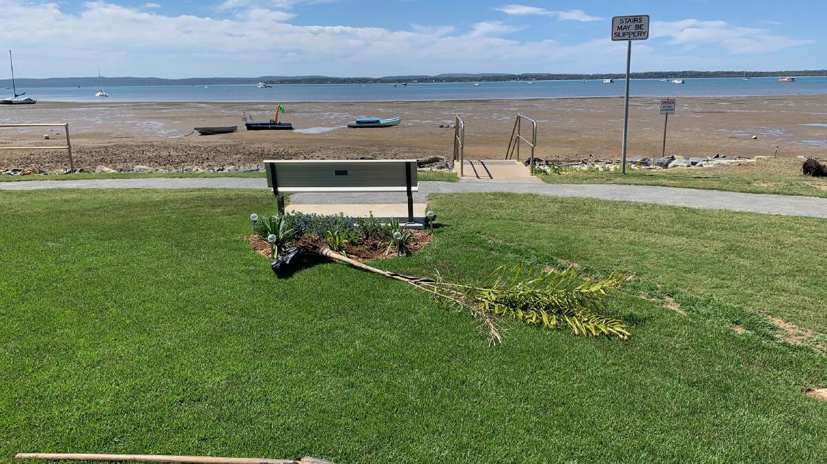 CHOP: Redland City Council removed two foxtail palms from the waterfront in Victoria Point as they are not an approved species due to ongoing maintenance issues.