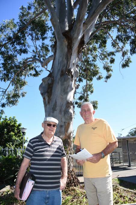 John Derbyshire and Alb Carlton under the landmark eucalyptus tree.