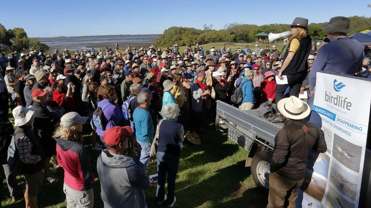 BIRD LIFE: The rally for International Migratory Bird Day attracted a crowd to GJ Walter park in 2019. Photo: Chris Walker