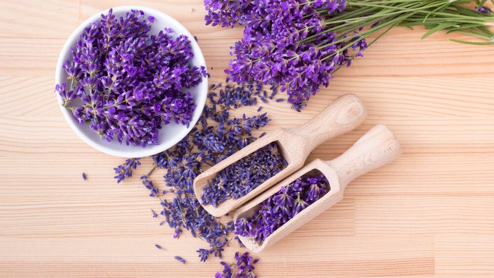 Natural deterrent: Lavender can be used around the home to deter flies.