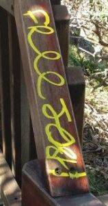 GRAFFITI: Police are searching for those responsible for graffiti on the at Point Lookout's gorge walk. Photo: QPS