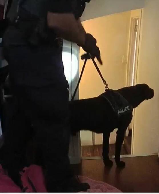 POLICE: The Queensland Police Service's Dog Squad was involved in the recent execution of search warrants as part of the operation. Photo: QPS