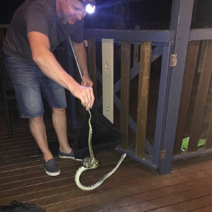 CAUGHT: Melanie Neumann called in a snake catcher recently when she spotted a snake wrapped on her gate, quite high up on a balcony on her house at Wellington Point. Photo: Melanie Neumann