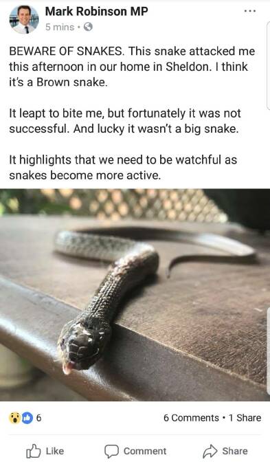 Snake leapt at me: MP