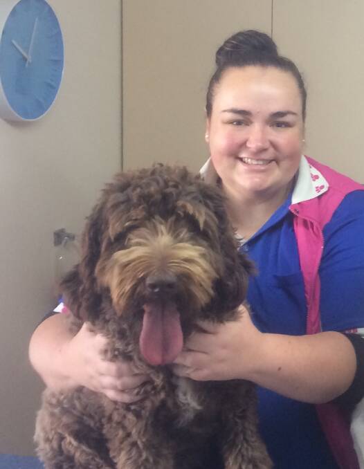 RECOVERED: Dr Katria Lovell with Chewy, who made a full recovery after being bitten by a brown snake in his Redland Bay yard on Easter Sunday.
