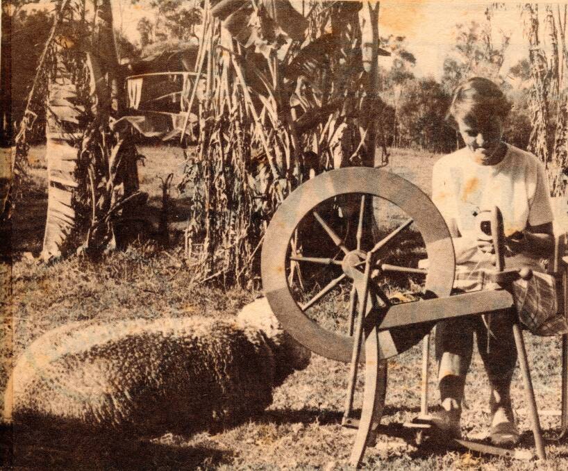 ARCHIVES: A photo taken in 1978 of Redlands Spinners and Weavers member Betty Tree sitting spinning alongside a sheep named Hilda.