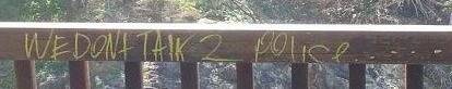 GRAFFITI: Police are searching for those responsible for graffiti at Point Lookout's gorge walk. Photo: QPS