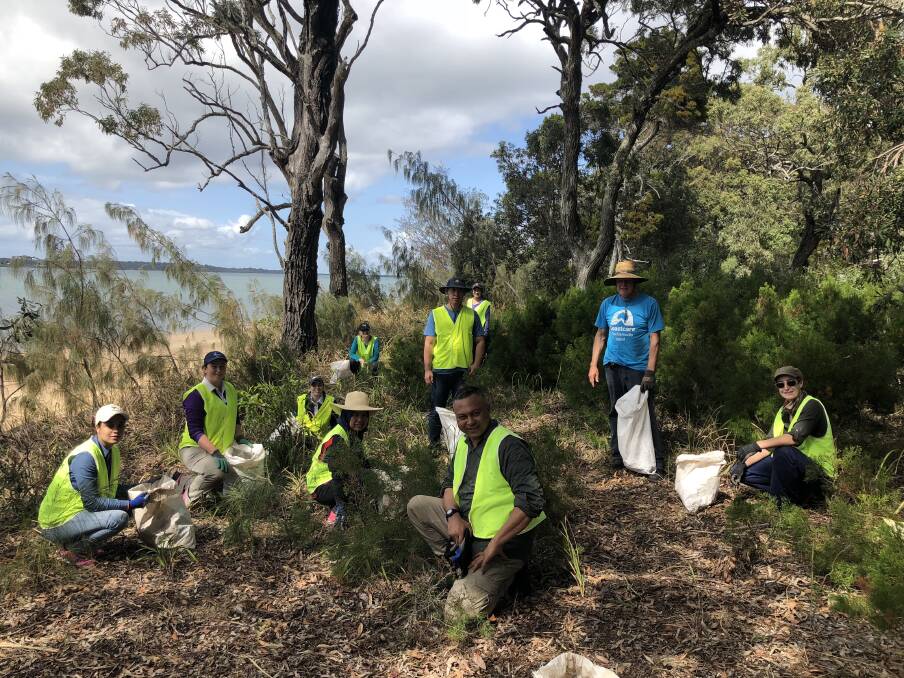 WEED WAR: Conservation Volunteers Australia's 10 volunteers help Coochiemudlo Island Coastcare to remove weeds on the island.