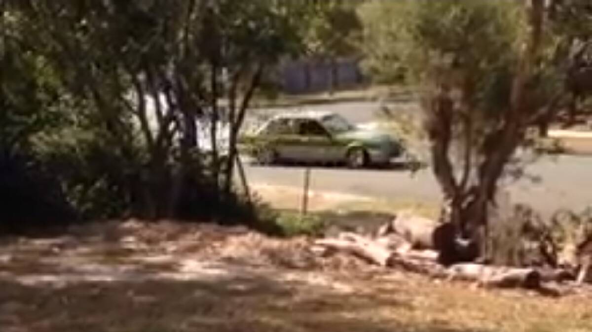 Snapped: An alleged hoon captured previously on video in the Redlands.
