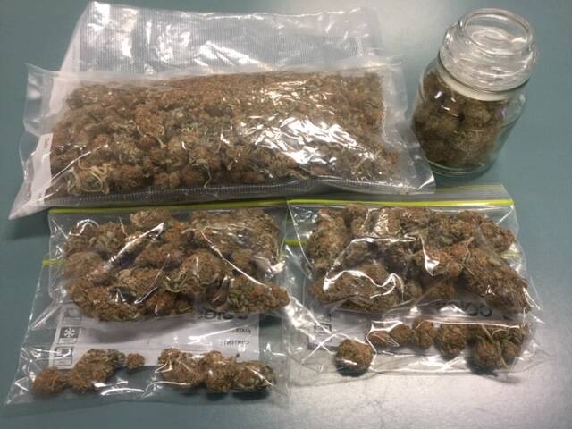 RECOVERED: Some cannabis found during the execution of search warrants recently. Photo: QPS