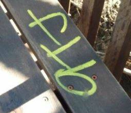 GRAFFITI: Police are searching for those responsible for graffiti on the at Point Lookout's gorge walk. Photo: QPS