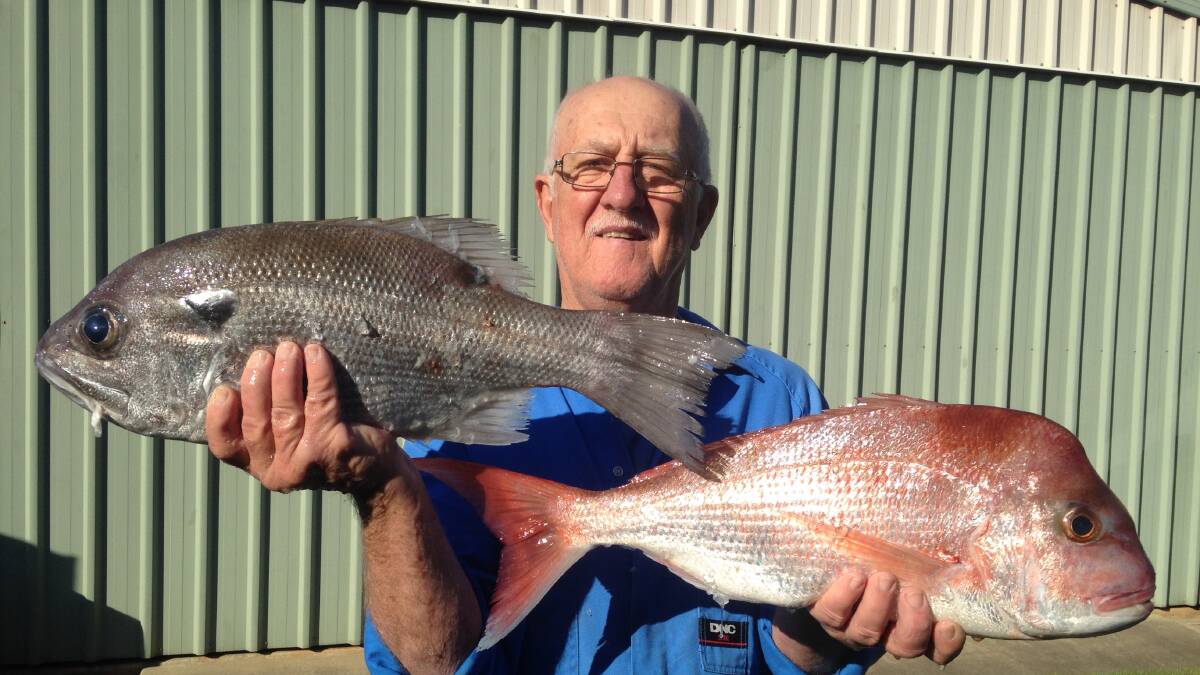 MIXED BAG: Ross Collison with a mixed bag of snapper and pearl perch caught off the Tweed Coast.