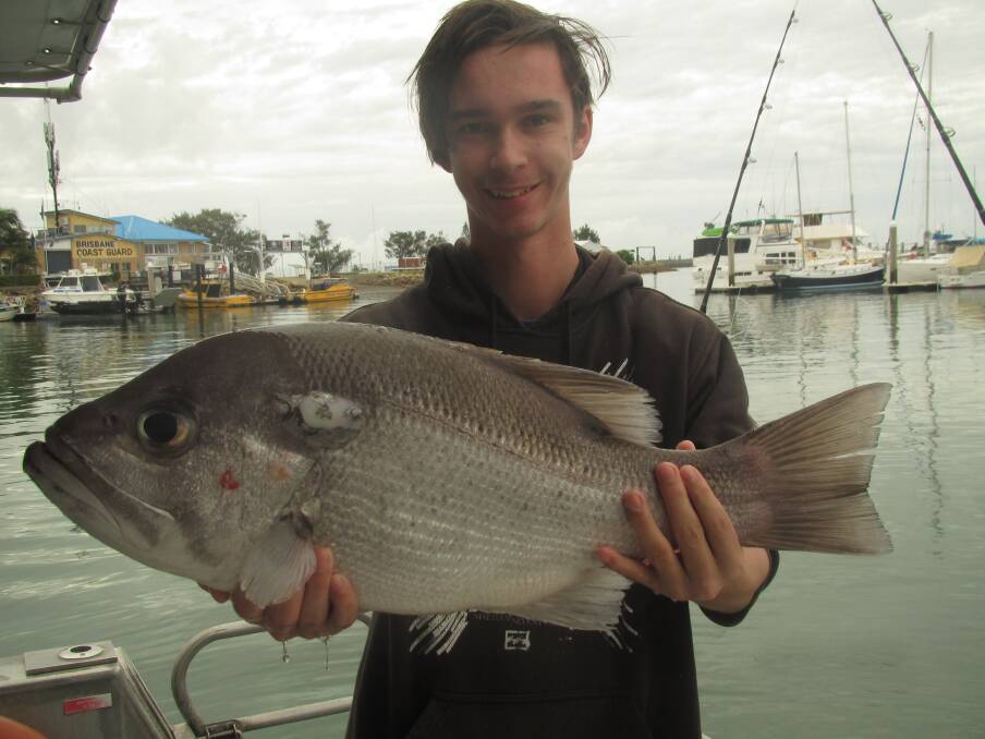 A PEARLER: Benjamin Lockwood with a quality pearl perch caught off Moreton Island onboard Frenzy Charters. 