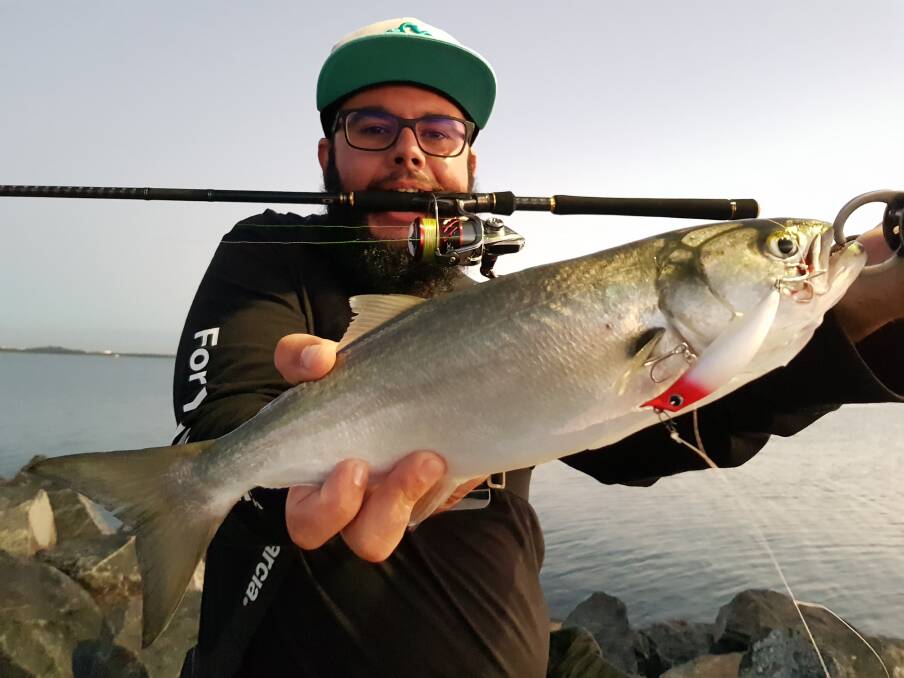 ON THE WATER: Adam Griffin with a lure caught chopper tailor from the Manly rock wall. Picture: Supplied.