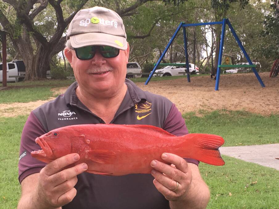 NICE ONE: Neil Stratford with a coral trout caught off Mooloolaba.