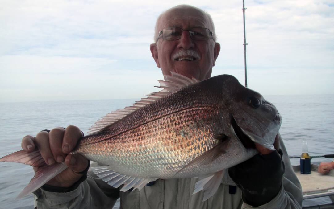SNAPPED UP: Ross Collison with pan size snapper off Point Lookout onboard Frenzy Charters. 