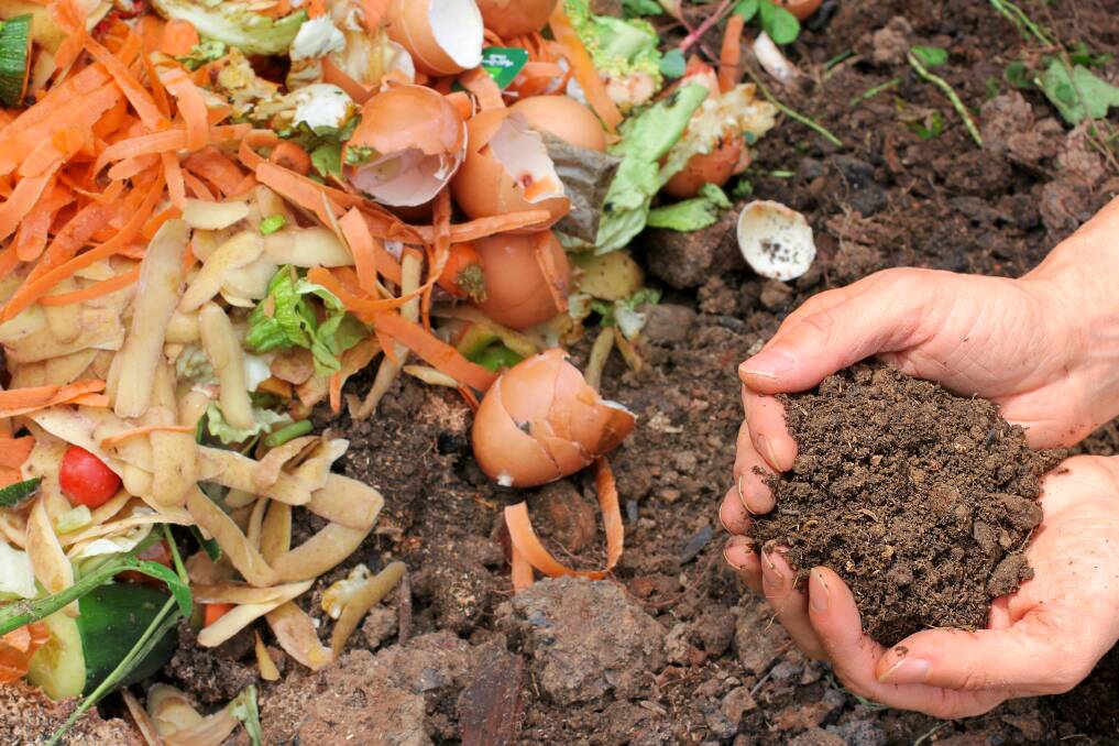 REDUCE, REUSE, RECYCLE: Composting is easy and simple to do, and improves the health of our gardens.