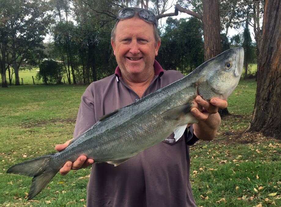 BIG TAILOR: Warren Bell with a beautiful 3 kilogram tailor from South Ballina Beach. Now that is a good fish.