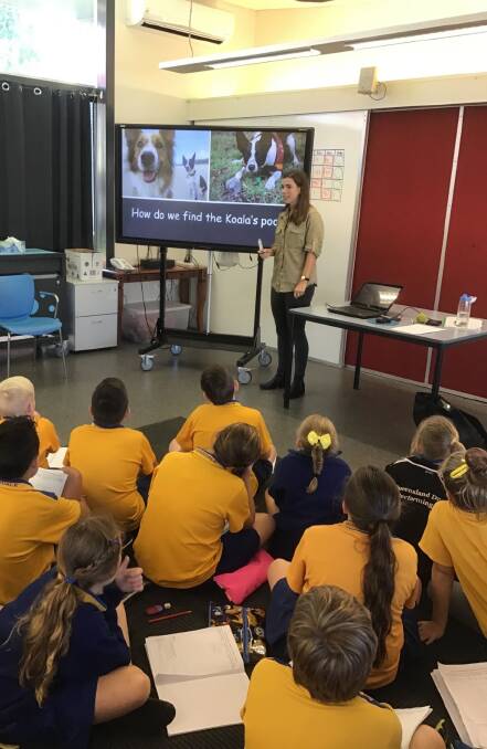 Year five students learnt about how Baxter does his job detecting koalas. 