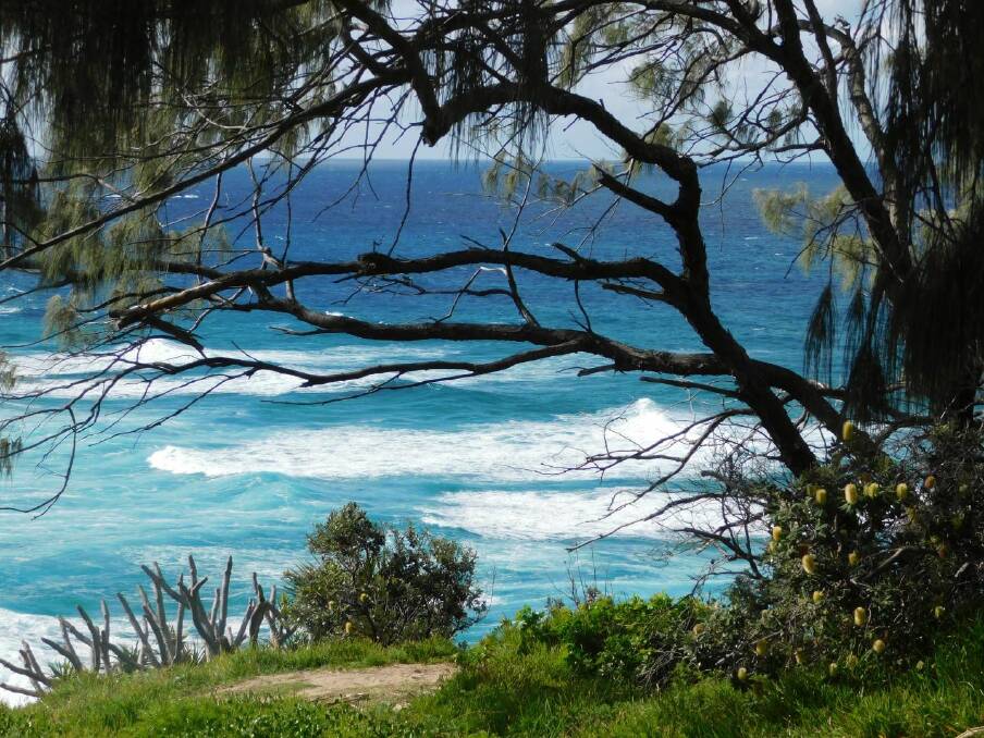 A visit to North Stradbroke Island. Picture: Lynne Griffiths. 
