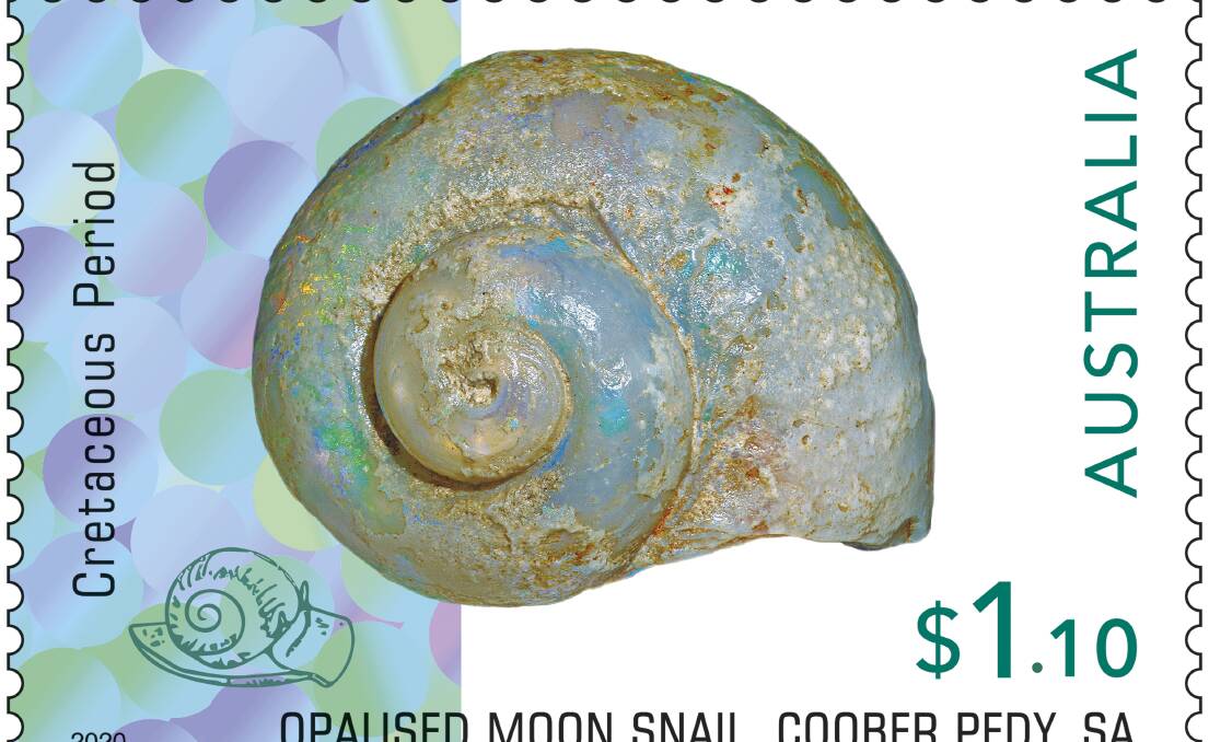 SNAIL MAIL: This Moon Snail is one of four new stamps featuring opalised fossils. Photo courtesy of the Australian Postal Corporation, reproduced with permission.