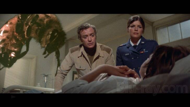 Katharine Ross, right, delivers a sphinx-like performance in The Swarm.