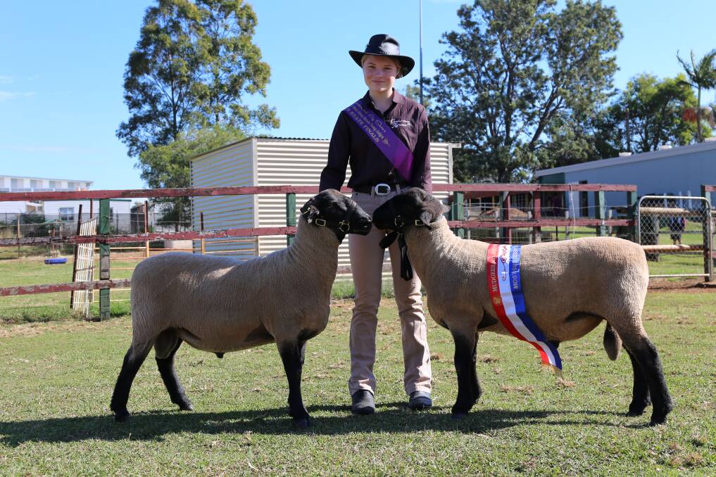 EDUCATION: Kasey Knight has been a part of the school's sheep show team for the past four years. Photo: Jocelyn Garcia