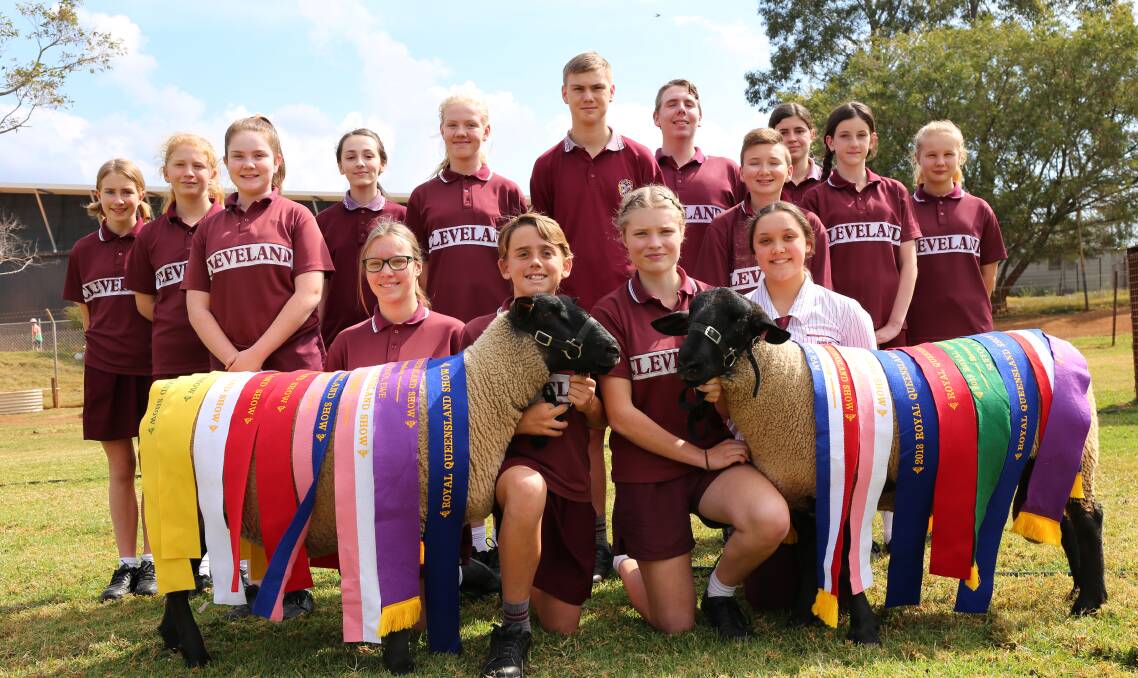 SUCCESS: Cleveland District State High School’s sheep showing team brings home ribbons. Photo: Jocelyn Garcia