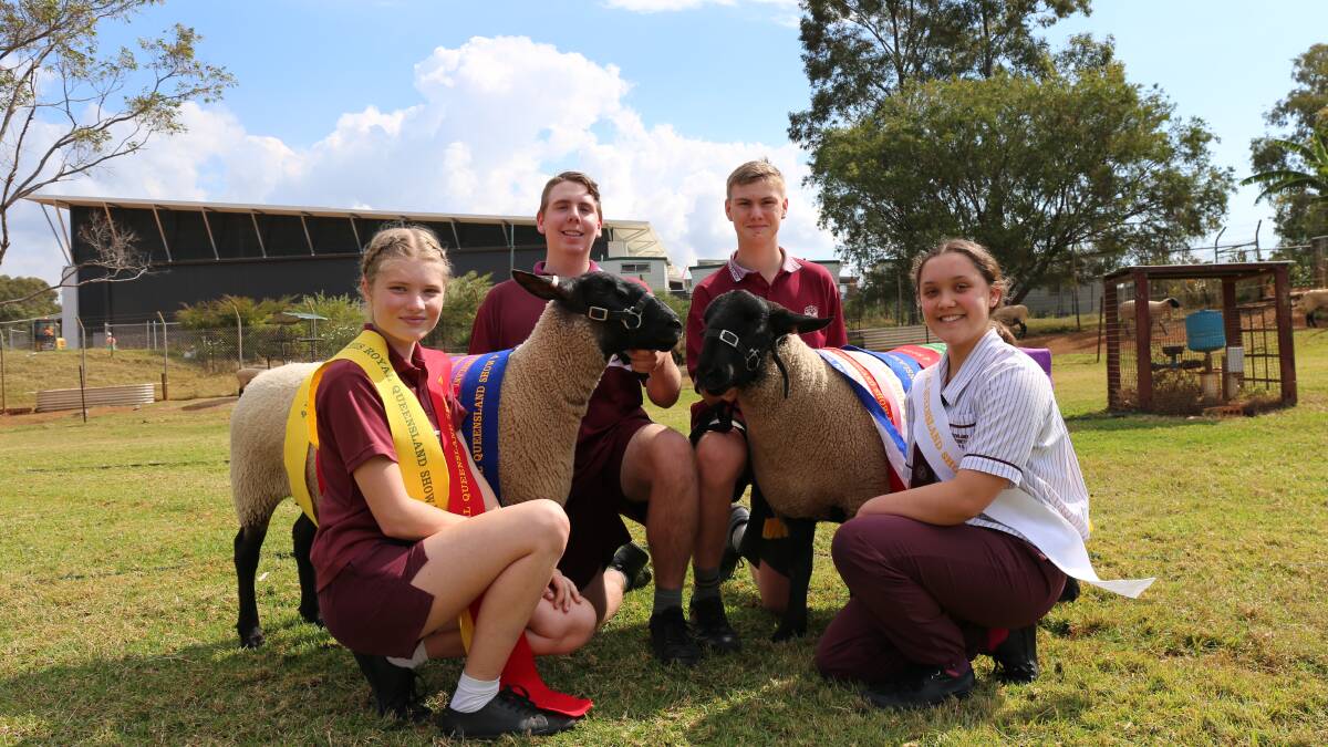 Cleveland District High School wins ribbons for sheep